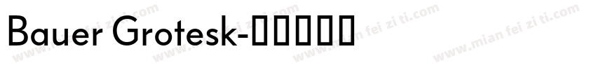 Bauer Grotesk字体转换